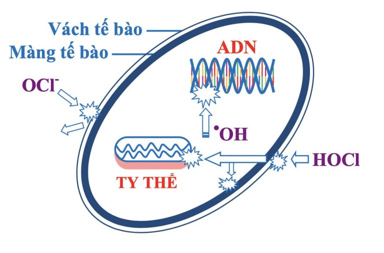 1.XLNT Y TẾ.png