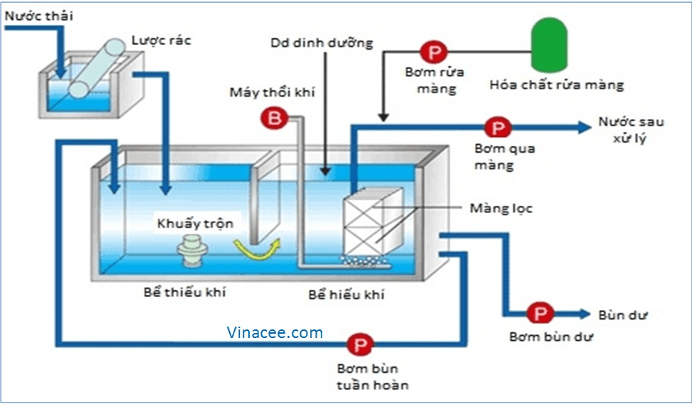 3.XLNT Y TẾ.png