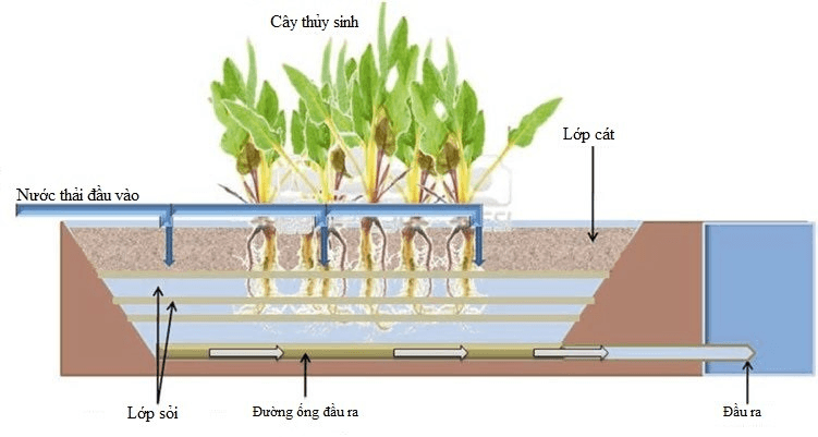 3.xlnt nông nghiệp.png