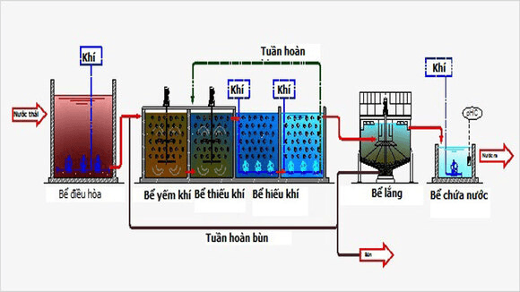 4.xlnt thủy sản.png