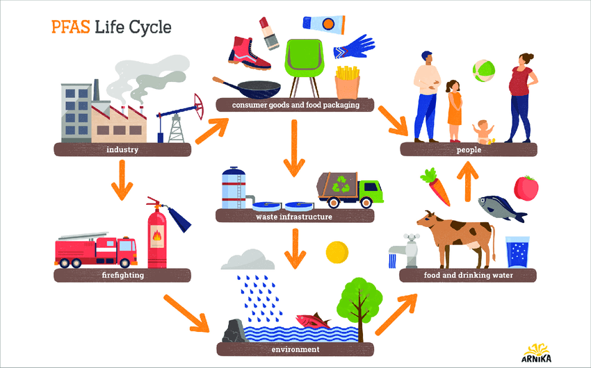 Sources-of-PFAS-and-PFAS-Life-Cycle-Credit-Arnika.png