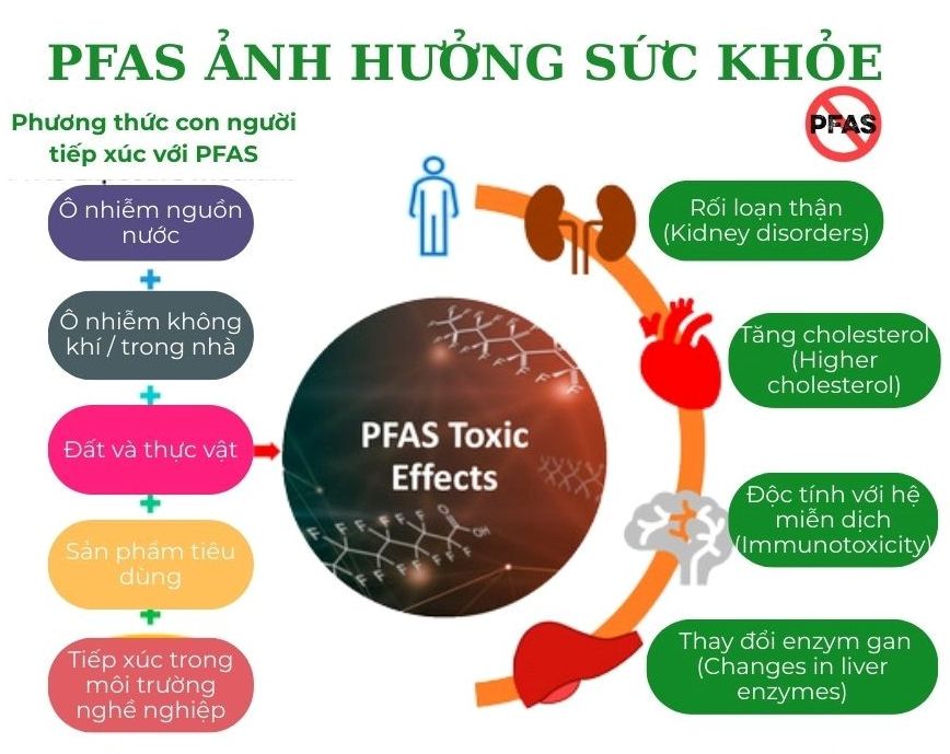 ảnh hưởng skhoe.jpg